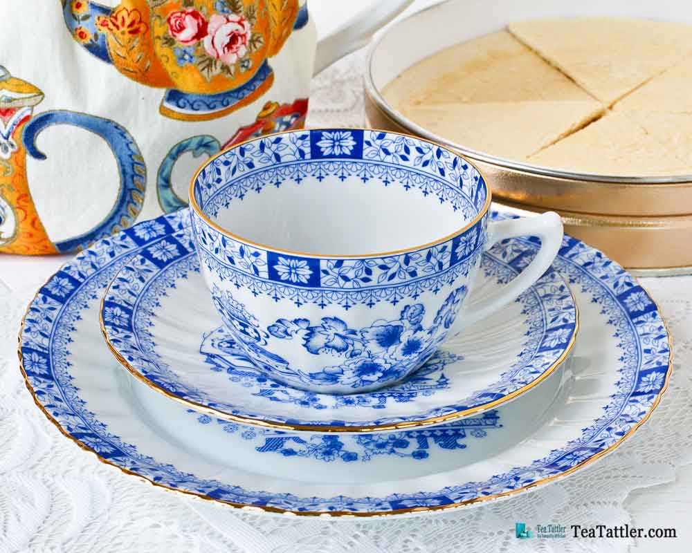 Dorothea China Blue by Seltmann Weiden, Germany teacup and saucer in classic blue and white design adorned with floral and leaf motifs. | TeaTattler.com #dorotheachinablue #teacup