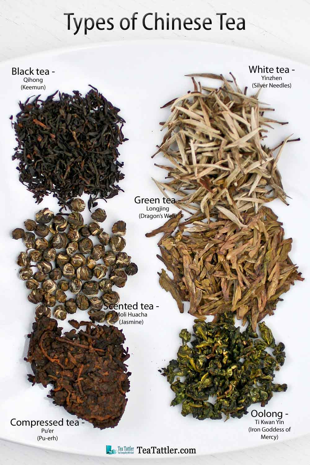 Types of Chinese Tea - white, green, oolong, black, scented, and compressed coming from the same tea plant but each processed differently. | TeaTattler.com #chineseteas